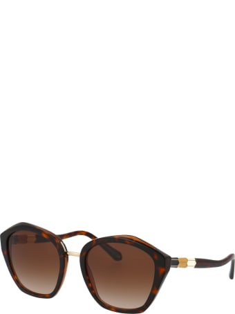 Bulgari 0bv8234 Sunglasses