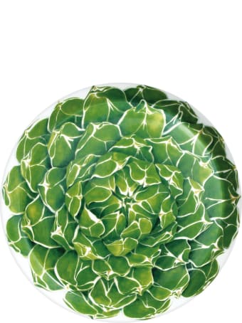 Taitù Cake Stand - Cactus Collection