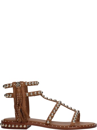 Ash Power 02 Flats In Leather Color Leather