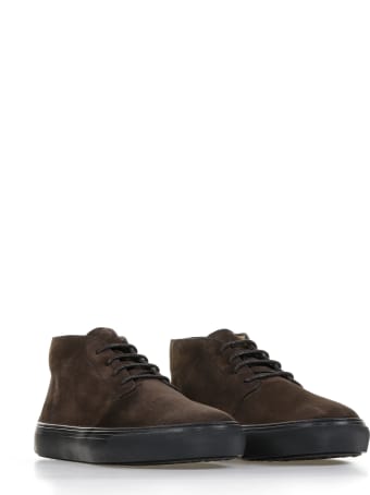 Tod's Ankle Boots In Dark Brown Suede Leather