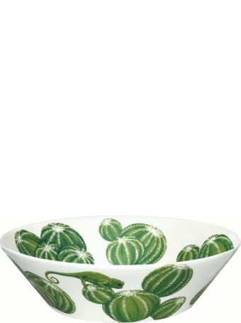 Taitù Medium Bowl - Cactus Collection