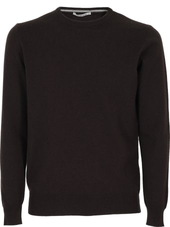 Kangra Top