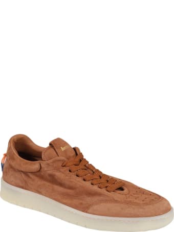 Barracuda Sneakers
