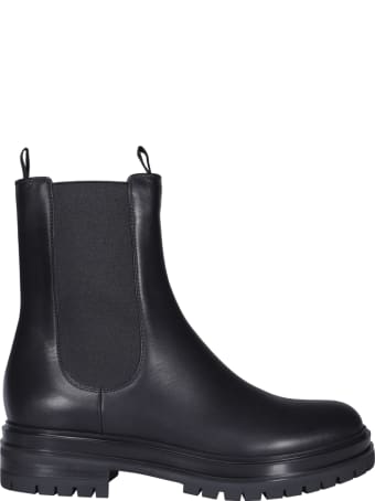 Gianvito Rossi Chester Booties