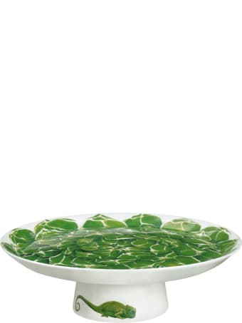Taitù Cake Stand - Cactus Collection