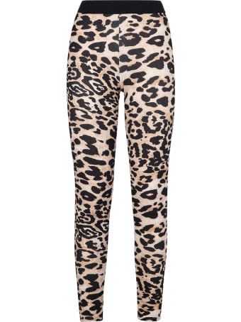 Paco Rabanne Leopard Print Leggings