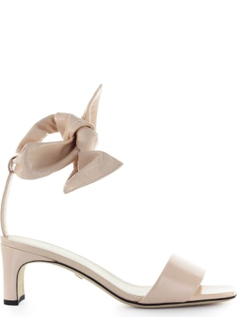 Grey Mer Ivy Pink Leather Sandal