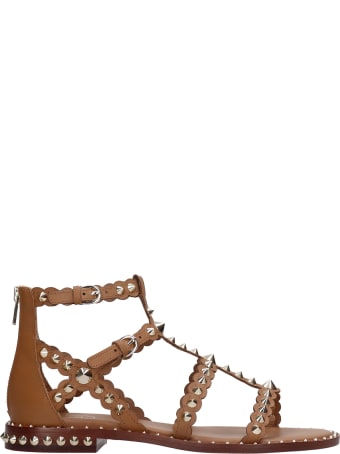 Ash Pixel 02 Flats In Leather Color Leather