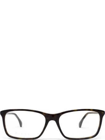 Gucci Gucci Gg0553o Havana Glasses