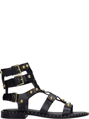 Ash Petrus 01 Flats In Black Leather
