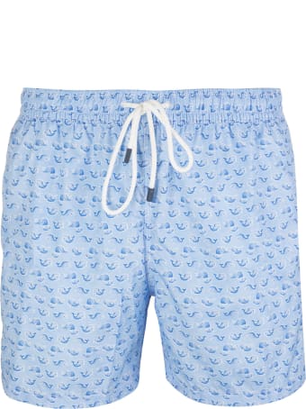 Fedeli Light Blue And Blue Whale Madeira Man Swimsuit