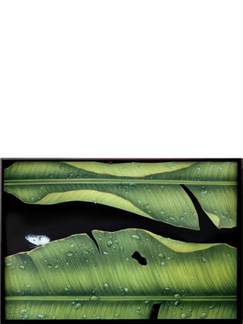 Taitù Large Rectangular Tray- Freedom-Foglie Collection