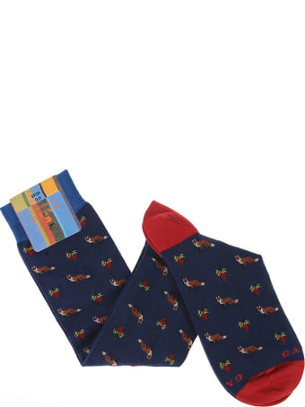 Gallo Socks