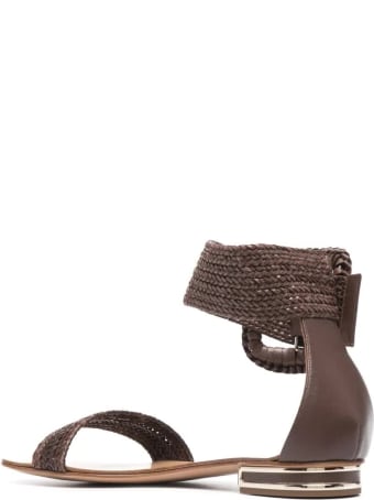 Casadei Low Sandal In Brown Hanoi With Maxi Buckle