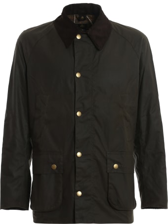Barbour Ashby