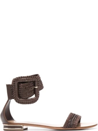 Casadei Low Sandal In Brown Hanoi With Maxi Buckle