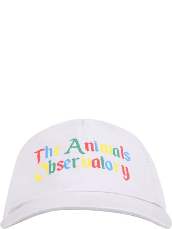 The Animals Observatory Purple Hat For Kids