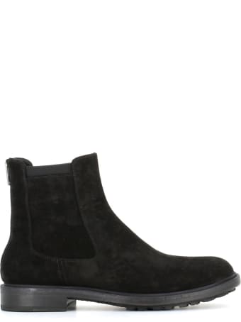 Pantanetti Chelsea 14994a