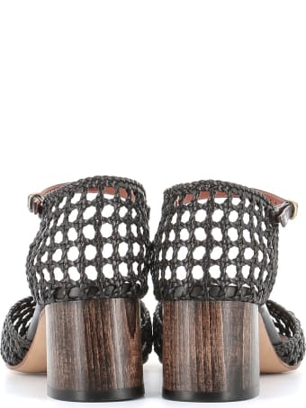 Michel Vivien Sandal Petrus