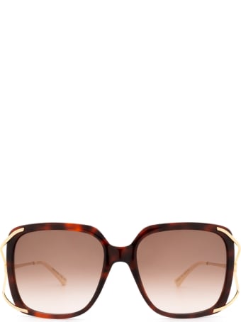 Gucci Gucci Gg0647s Havana Sunglasses