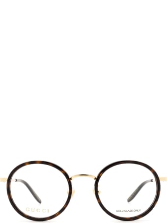 Gucci Gucci Gg0679oa Havana Glasses