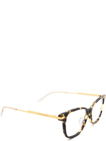 Bottega Veneta Bottega Veneta Bv1074oa Havana Glasses