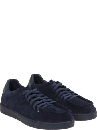 Barracuda Sydney Sneakers In Suede
