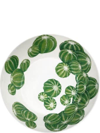 Taitù Medium Bowl - Cactus Collection