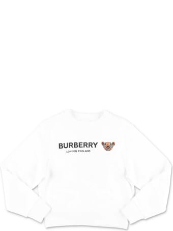 Burberry Sweater