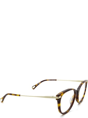 Chloé Eyewear Chloé Ch0058o Havana Glasses