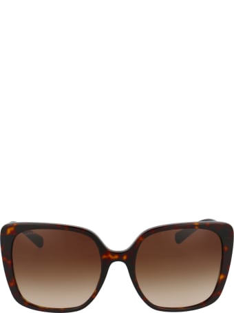 Bulgari 0bv8225b Sunglasses
