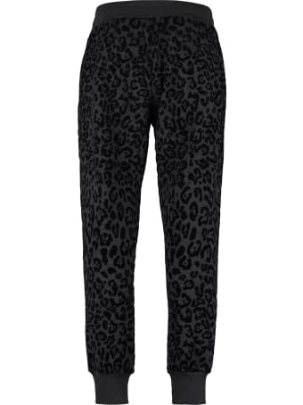 Dolce & Gabbana Printed Cotton Track-pants