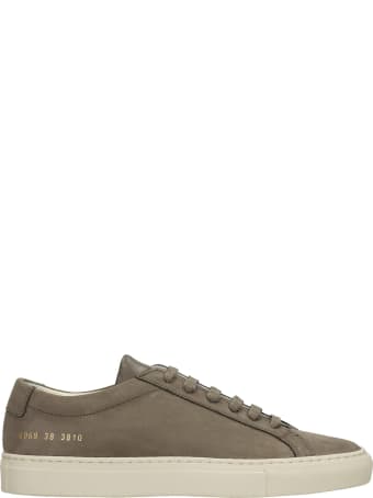 Common Projects Achille Sneakers In Grey Suede