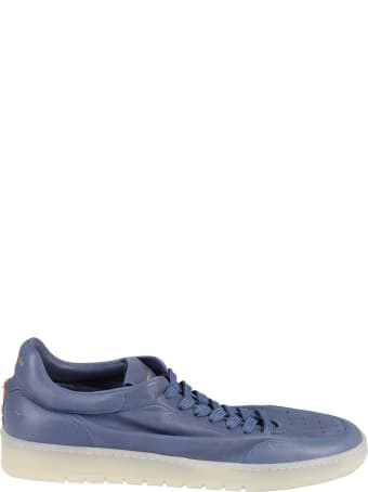 Barracuda Sneakers