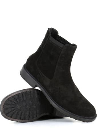 Pantanetti Chelsea 14994a
