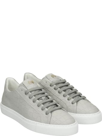 Hide&Jack Sneakers In Grey Leather