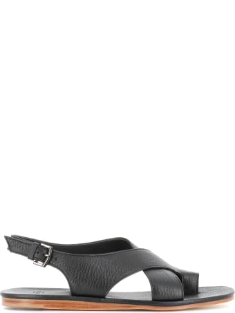 Sturlini Sandal Ar-410001