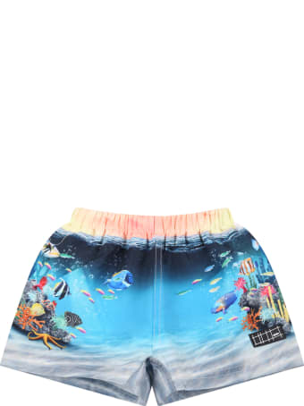 Molo Multicolor Swimshort For Aby Boy With Fishes