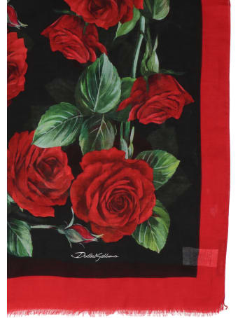Dolce & Gabbana Scarf