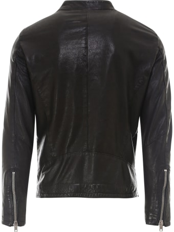 DFour Jacket