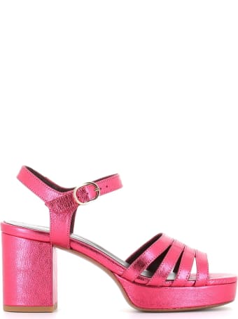 Avril Gau Sandal Eban
