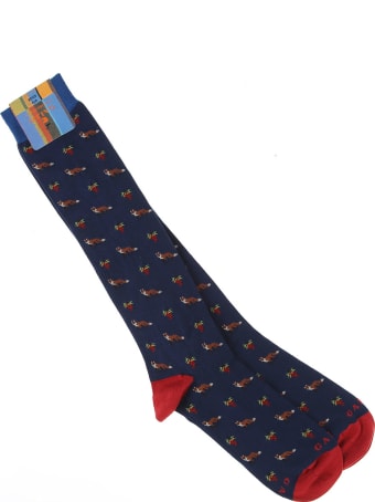 Gallo Socks