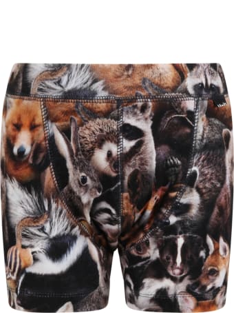 Molo Multicolor Boxer For Boy