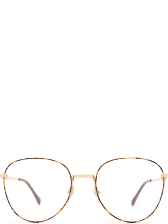 Gucci Gucci Gg0880o Gold / Havana Glasses