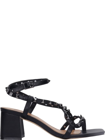 Bibi Lou Sandals In Black Leather