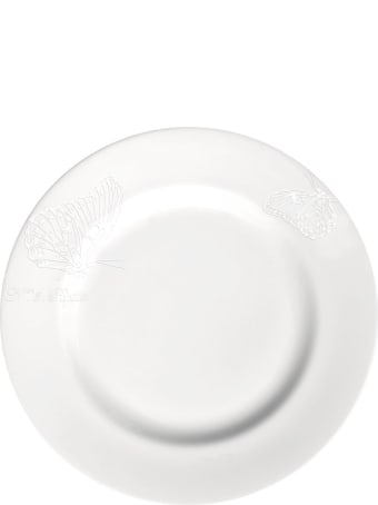 Taitù Set of 4 Salad Plates - Bianco&Bianco Collection