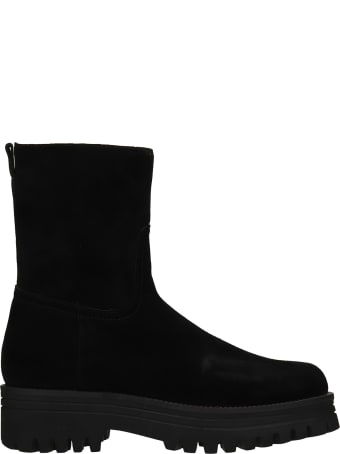 Bibi Lou Low Heels Ankle Boots In Black Suede