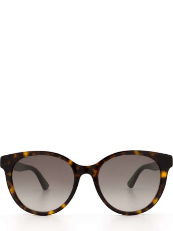 Gucci Gucci Gg0702sk Havana Sunglasses