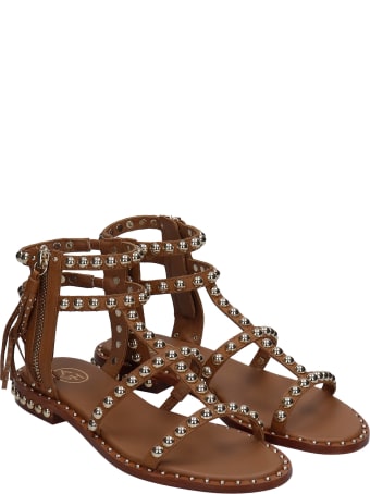 Ash Power 02 Flats In Leather Color Leather