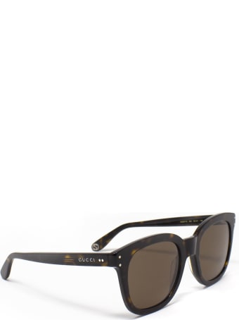 Gucci Gucci Gg0571s Havana Sunglasses